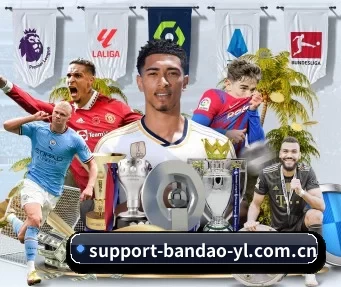 半岛体育 APP - BANDAOSPORTS